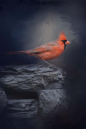 Framed Redbird On The Rocks Print