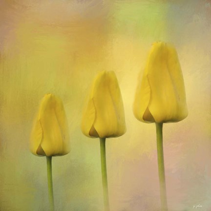 Framed Triplets Print