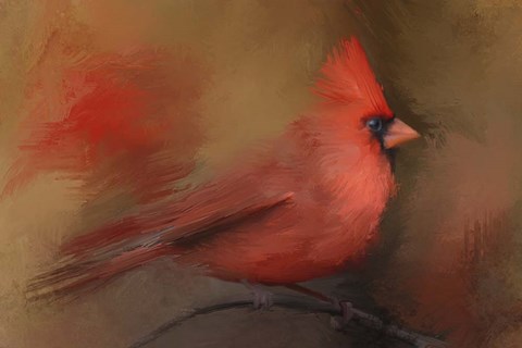 Framed America&#39;s Favorite Red Bird Print