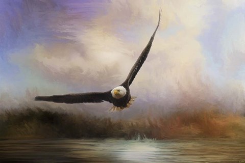 Framed Eagle In The Marsh Print