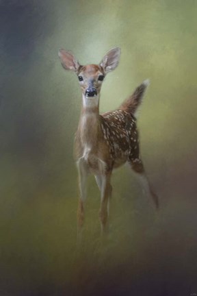 Framed Fawn In The Forest Print
