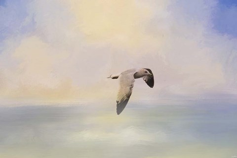 Framed Foggy Morning At Sea Print