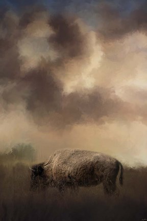 Framed Bison Grazing At Sunrise Print