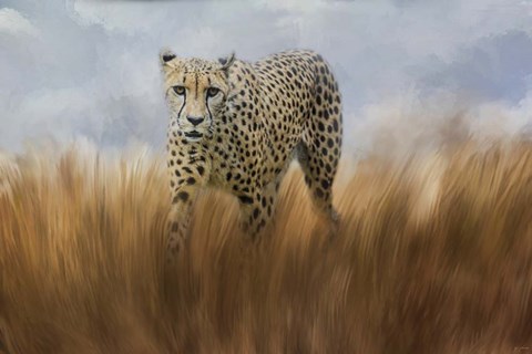 Framed Cheetah In The Field Print