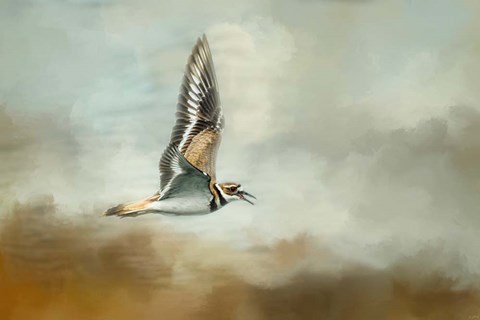 Framed Flight Of The Killdeer Print