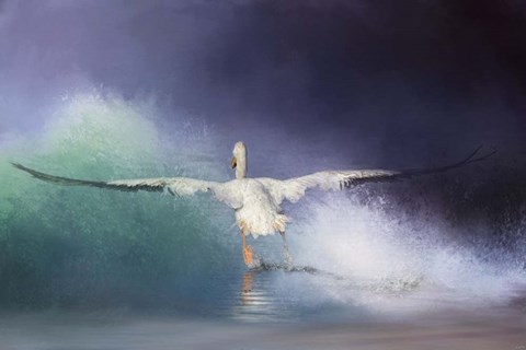 Framed Head On Print