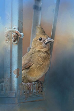 Framed I Will Be Your Light Print