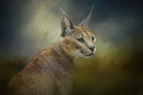 Framed Tufted Ears Print