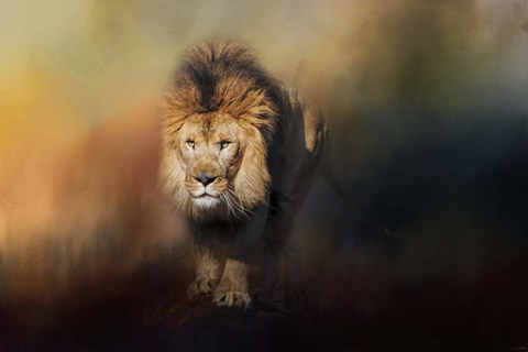 Framed On The Hunt Print