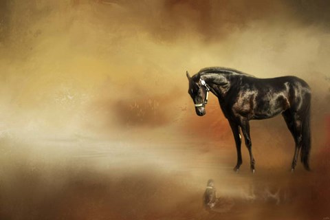 Framed Reflecting Print