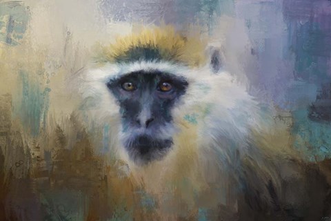 Framed African Grivet Monkey Print