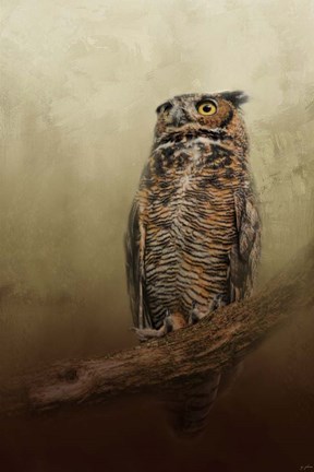 Framed Great Horned Owl At Shiloh Print