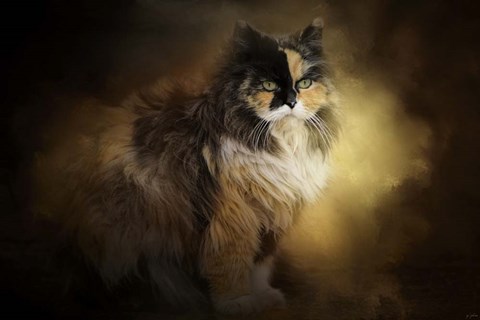 Framed Sitting In Autumn Print