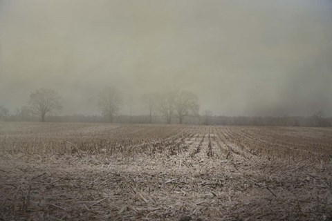 Framed End Of A Season Print