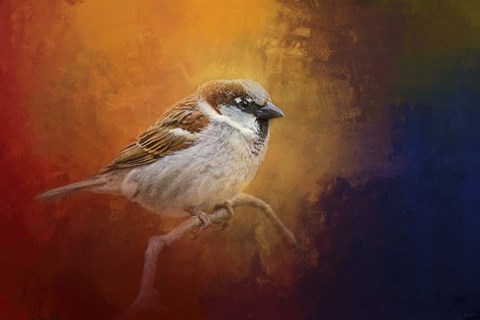 Framed Autumn Sparrow Print
