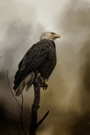 Framed Cold Day In March Print