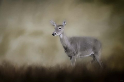 Framed Bravery Print