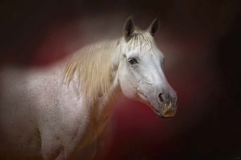 Framed I Am The Light Print