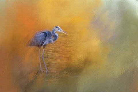 Framed On The Cusp of Autumn Print