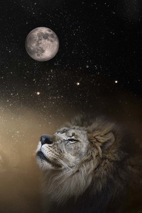 Framed Under The Moon and Stars Print