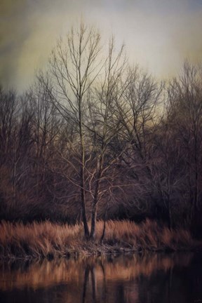 Framed Warm Winter Peace Print