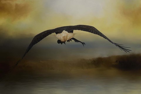 Framed Big Catch 2 Print