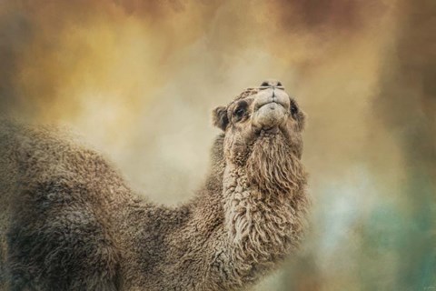 Framed Scent Of Fall Print