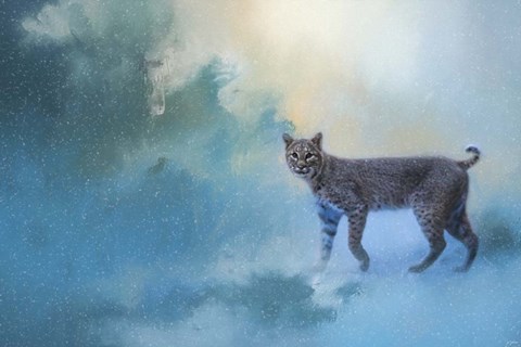 Framed Winter Bobcat Print