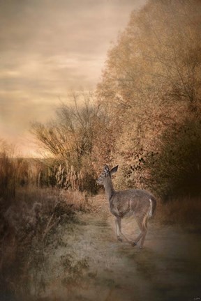 Framed Edge Of The Forest Print