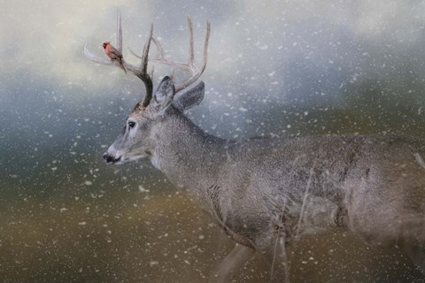 Framed HitchHiker In The Snow Storm Print