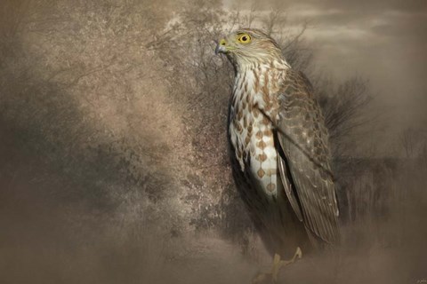 Framed Patiently Waiting Print