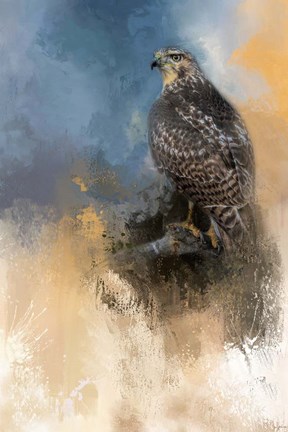 Framed Redtail In Winter Print