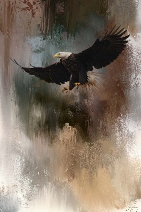 Framed Winter Eagle 1 Print