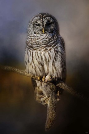 Framed Last Catch Of The Day Print