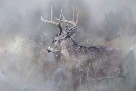 Framed Meeting Winter Head On Print