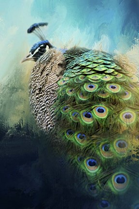 Framed Peacock In Winter Print