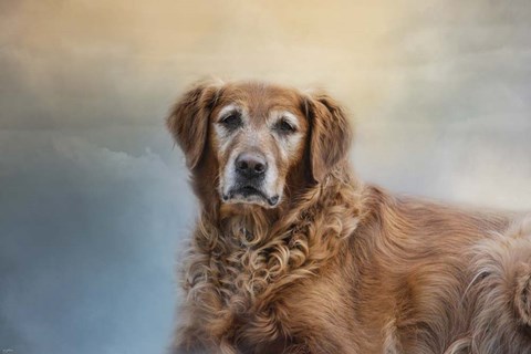 Framed Older I Get Print