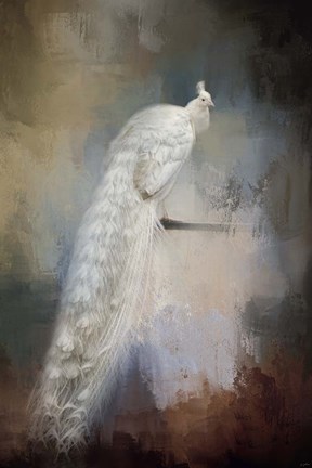 Framed White Beauty Print