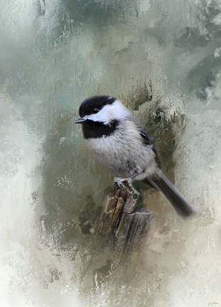 Framed Winter Chickadee Print