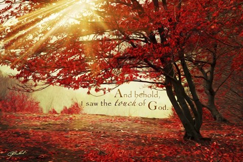 Framed Touch Of God Print