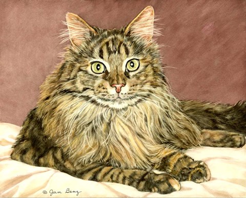 Framed Lady Pounce Print