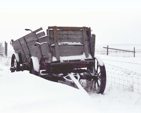 Framed Retired Print