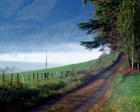 Framed Hyatt Lane Print