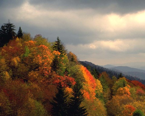 Framed Flame Ridge Print