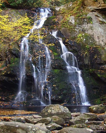 Framed Spruce Flat Falls Print