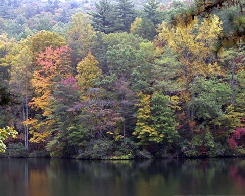 Framed Painted Hillside Print
