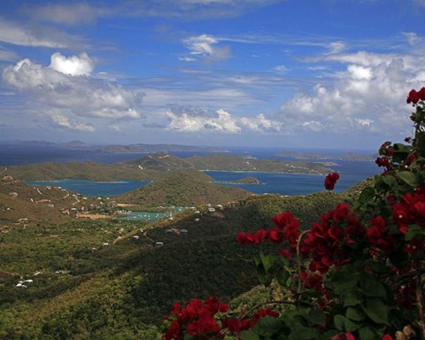 Framed St John's #1 Print