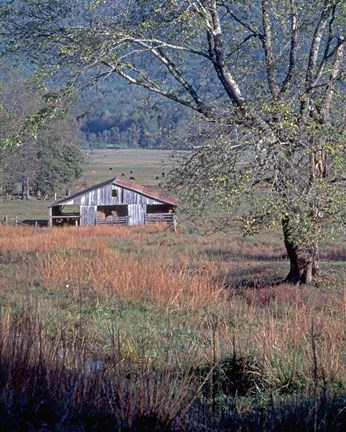 Framed Hay Barn Print