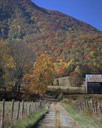 Framed Mt. Lane Print