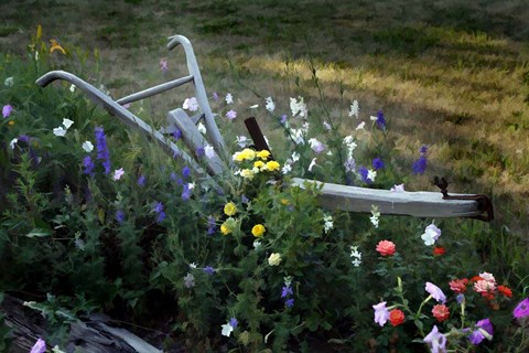 Framed Flower Plow Print